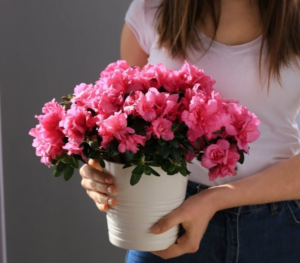 Какие вещи есть в доме счастливых людей Какие вещи есть в доме счастливых людей