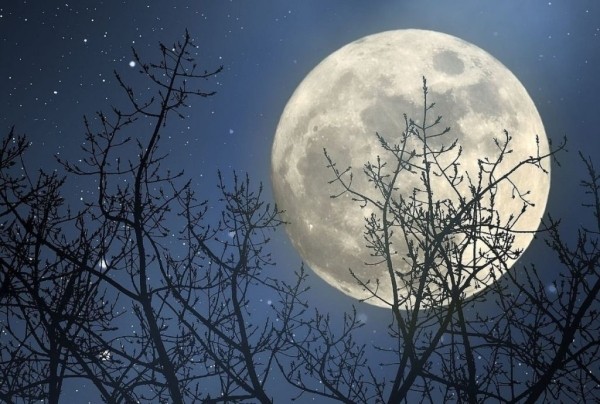 Особенности периода «целомудренной» Луны 7 марта, почему ее так называют Особенности периода «целомудренной» Луны 7 марта, почему ее так называют