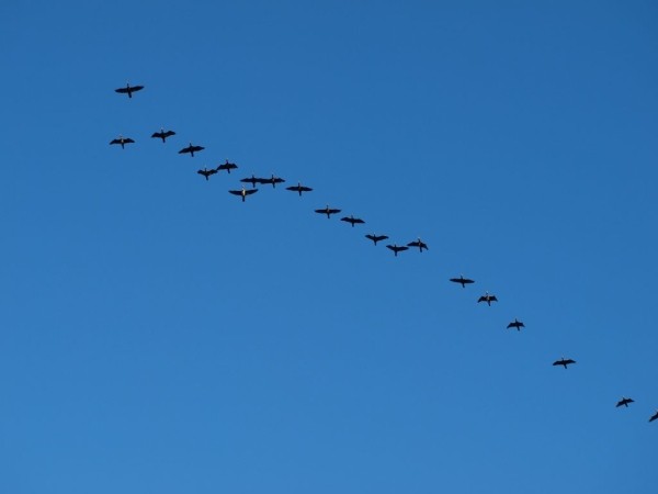 В чем магия дня весеннего равноденствия 2023 года: дата и приметы В чем магия дня весеннего равноденствия 2023 года: дата и приметы