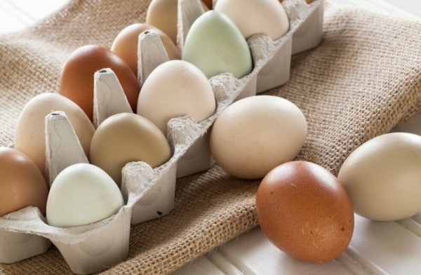 Белые или коричневые: какие яйца лучше выбрать для окрашивания на Пасху Белые или коричневые: какие яйца лучше выбрать для окрашивания на Пасху