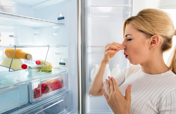 Как убрать неприятный запах из холодильника: что в него нужно положить, чтобы забыть о проблеме