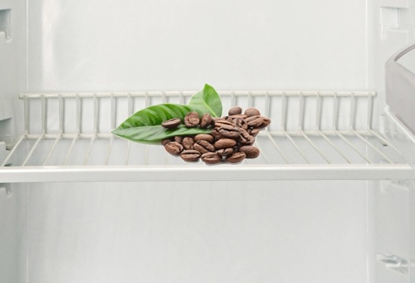 Тайна холодных зерен: почему кофе на самом деле нужно хранить в холодильнике