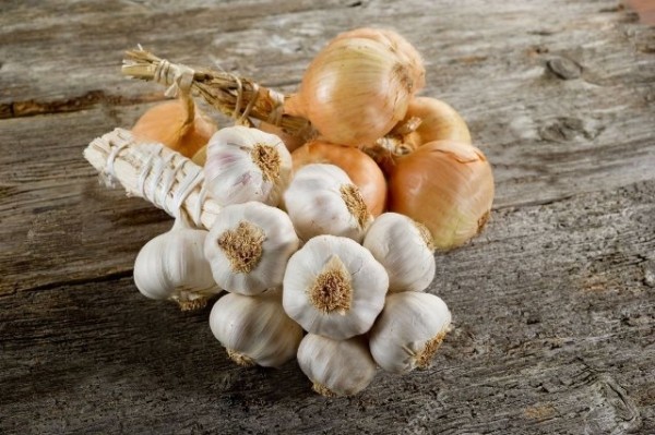 Как правильно ухаживать в апреле и мае 2023 года за озимым чесноком и луком Как правильно ухаживать в апреле и мае 2023 года за озимым чесноком и луком