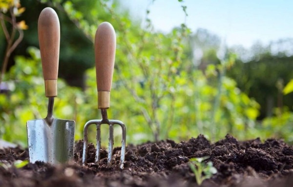 Традиционная мудрость для успешного садоводства: лунный посевной календарь на лето 2023 года Традиционная мудрость для успешного садоводства: лунный посевной календарь на лето 2023 года