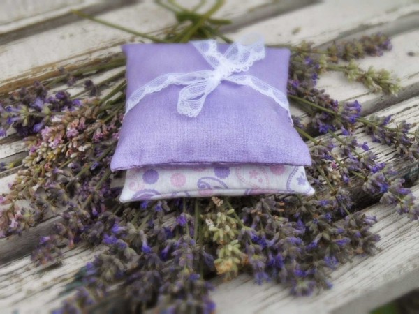 «Прощай, моль!»: как навсегда избавиться от вредителя