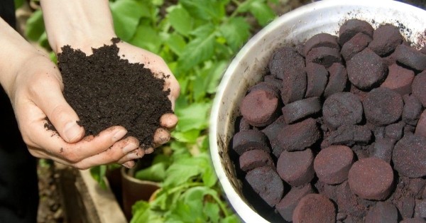 Не стоит выбрасывать эти отходы – они заставят овощи расти, как на дрожжах Не стоит выбрасывать эти отходы – они заставят овощи расти, как на дрожжах