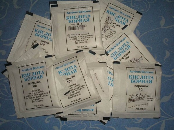 Лайфхак, который поможет избавиться от тараканов в доме навсегда Лайфхак, который поможет избавиться от тараканов в доме навсегда