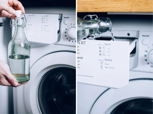 Два лайфхака, которые помогут избавиться от плесени на одежде навсегда Два лайфхака, которые помогут избавиться от плесени на одежде навсегда