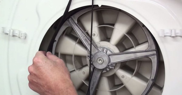 Избавляемся от плесени в стиралке: простой и дешевый способ «правильно» почистить ящик