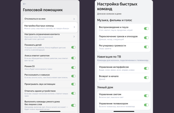 Алиса научилась понимать команды без обращения к ней по имени