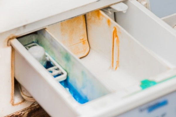 Избавляемся от плесени в стиралке: простой и дешевый способ «правильно» почистить ящик