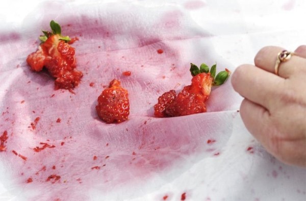 Борьба с загрязнениями: какие пятна от ягод труднее всего вывести с одежды Борьба с загрязнениями: какие пятна от ягод труднее всего вывести с одежды