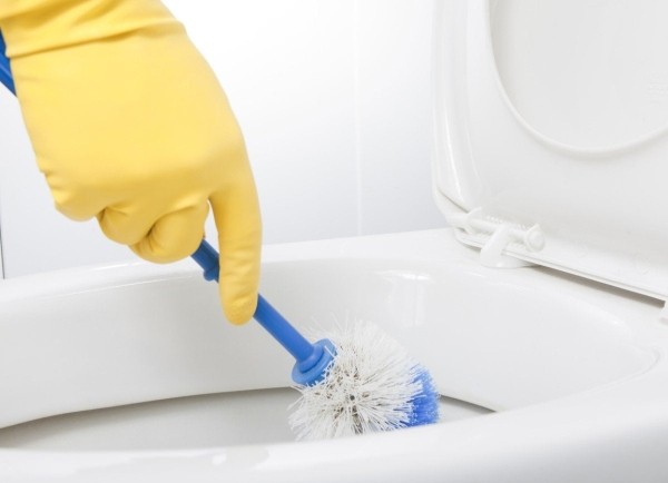 Белый и чистый: как быстро подготовить унитаз к приходу гостей Белый и чистый: как быстро подготовить унитаз к приходу гостей