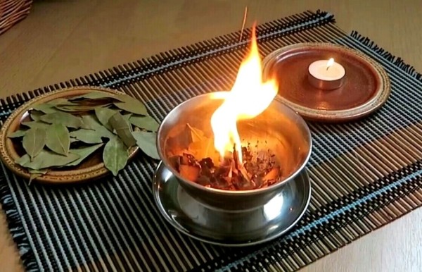 Как можно использовать лавровый лист: 6 неожиданных и интересных эффектов от его сжигания Как можно использовать лавровый лист: 6 неожиданных и интересных эффектов от его сжигания