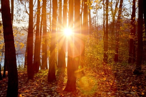 Сколько продлится мощная магнитная буря, которая начнется 30 сентября 2023 года Сколько продлится мощная магнитная буря, которая начнется 30 сентября 2023 года