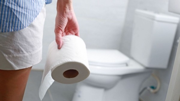 Гигиена тела: как нужно вытирать попу – сидя или стоя Гигиена тела: как нужно вытирать попу – сидя или стоя