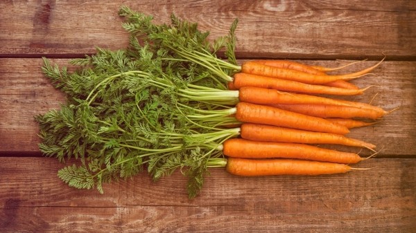 Какой метод хранения моркови поможет получить сочный и вкусный овощ зимой