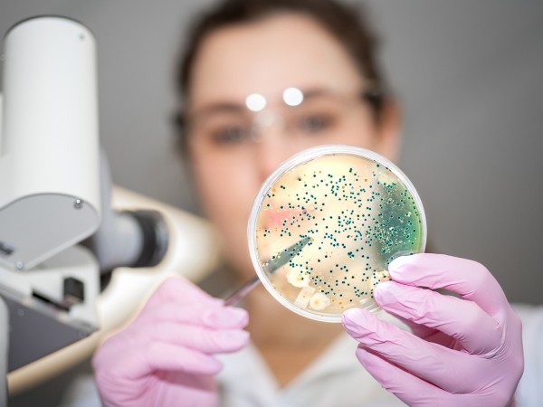 Исследователи выяснили, что жизнь после смерти есть, но в рай вы не попадете Исследователи выяснили, что жизнь после смерти есть, но в рай вы не попадете