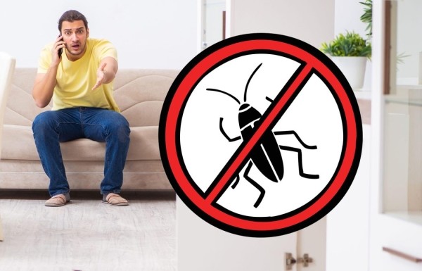 Какие средства и методы помогут навсегда избавиться от тараканов Какие средства и методы помогут навсегда избавиться от тараканов