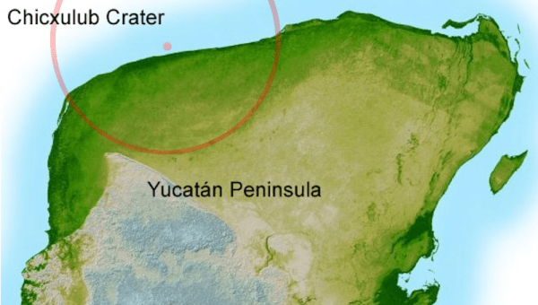 Действительно ли астероид убил динозавров: что произошло на самом деле Действительно ли астероид убил динозавров: что произошло на самом деле