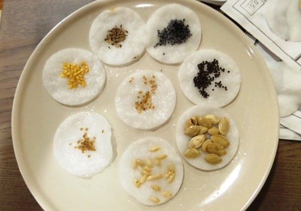 В чем заключается метод проверки семян на всхожесть: лайфхак с влажными салфетками В чем заключается метод проверки семян на всхожесть: лайфхак с влажными салфетками