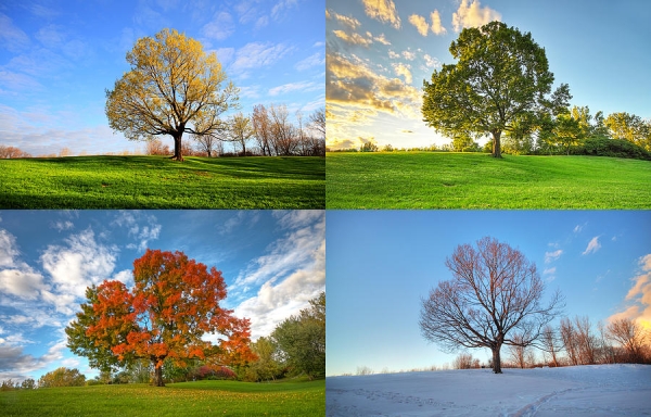 По какой причине времена года сменяют друг друга и имеют разную продолжительность