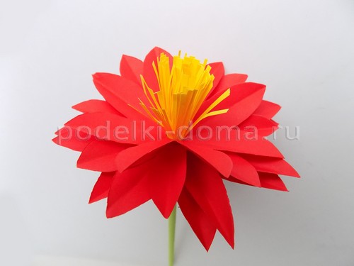 Бумажные цветы — 3 варианта Бумажные цветы — 3 варианта