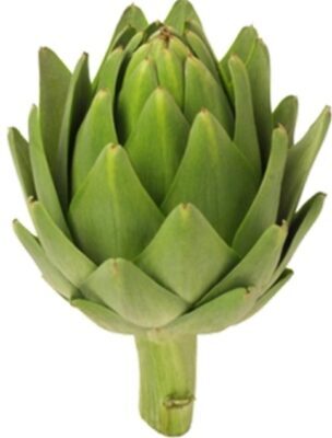 Аппликация в технике «Артишок»