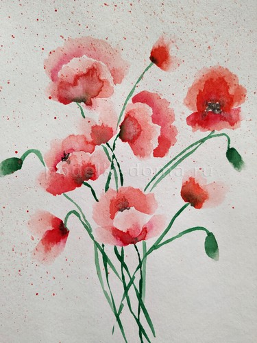 Скетч акварелью «Маки»