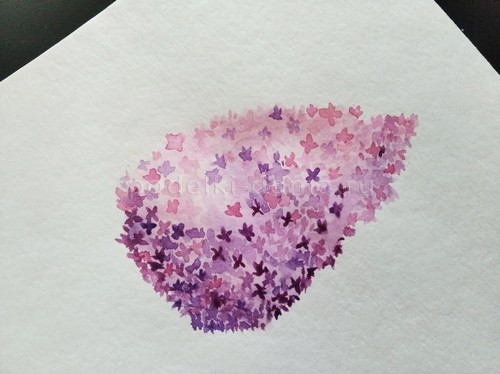 Скетч «Сирень» акварелью