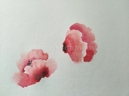 Скетч акварелью «Маки»