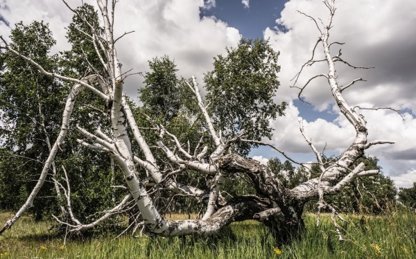 Десять знаменитых мистических мест России, в которых стоит побывать Десять знаменитых мистических мест России, в которых стоит побывать