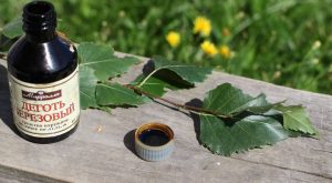 Необычные бабушкины методы защиты от комаров, которые остаются недооцененными Необычные бабушкины методы защиты от комаров, которые остаются недооцененными