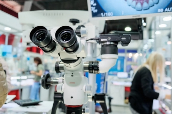 Ученые рассказали, что морские водоросли улучшают работу почек Ученые рассказали, что морские водоросли улучшают работу почек