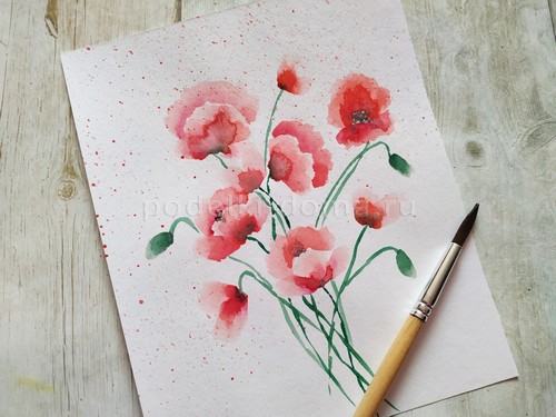 Скетч акварелью «Маки»