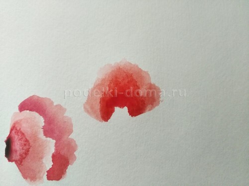 Скетч акварелью «Маки»