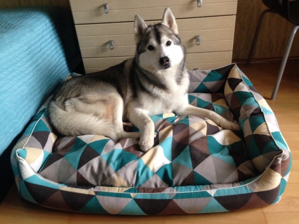 Идеи, как использовать старые поролоновые подушки