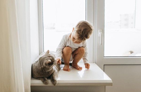 Как обезопасить детей и домашних животных от выпадения из окна