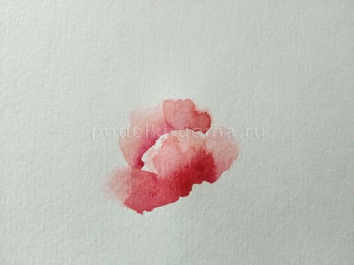 Скетч акварелью «Маки»