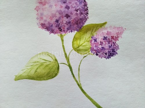 Скетч «Сирень» акварелью