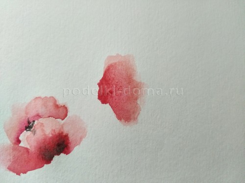 Скетч акварелью «Маки»