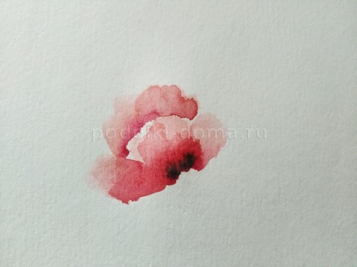 Скетч акварелью «Маки»